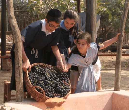 Winepress